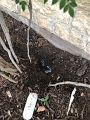 Sprinkler Repair (1)